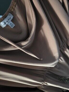 Pretty Taupe w/Hint Of Pink,  Flowing Off The Shoulder Dressy Blouse, Tie Back.